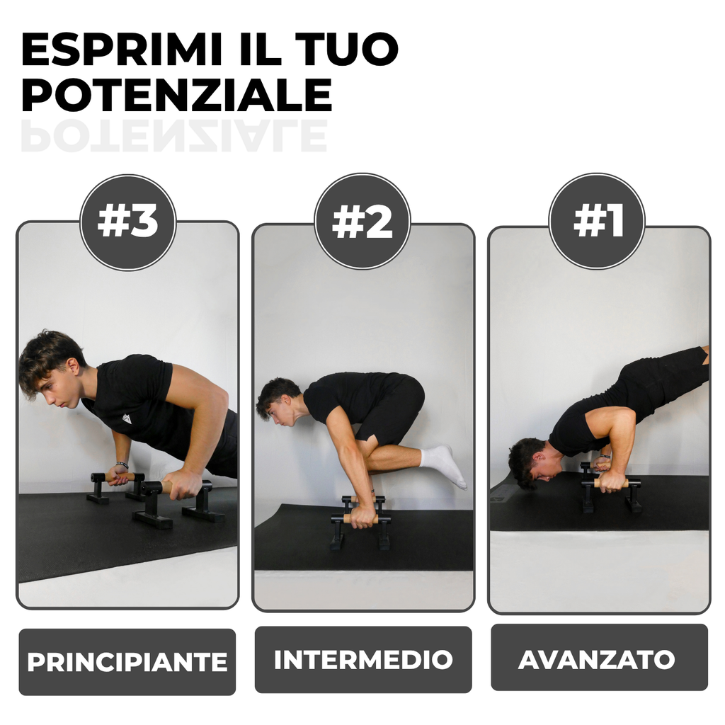Parallele ELEVUP