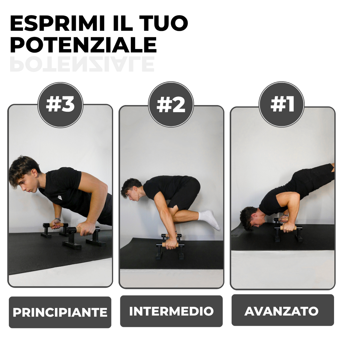 Parallele ELEVUP