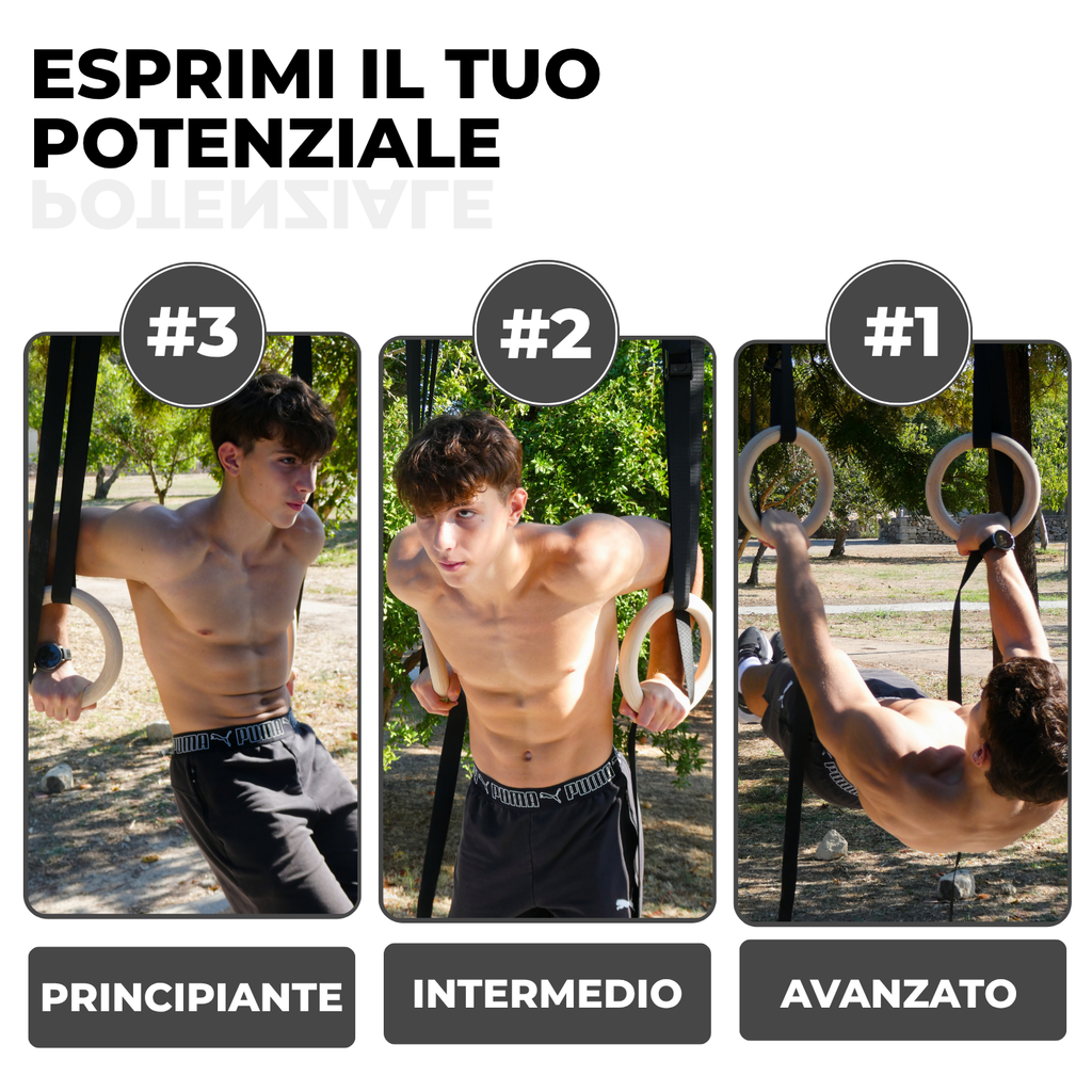 Anelli ELEVUP