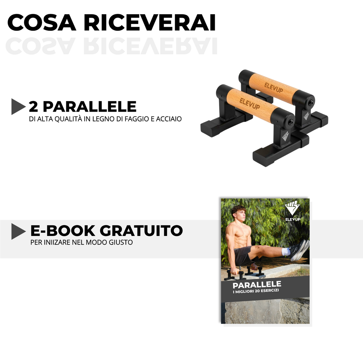 Parallele ELEVUP