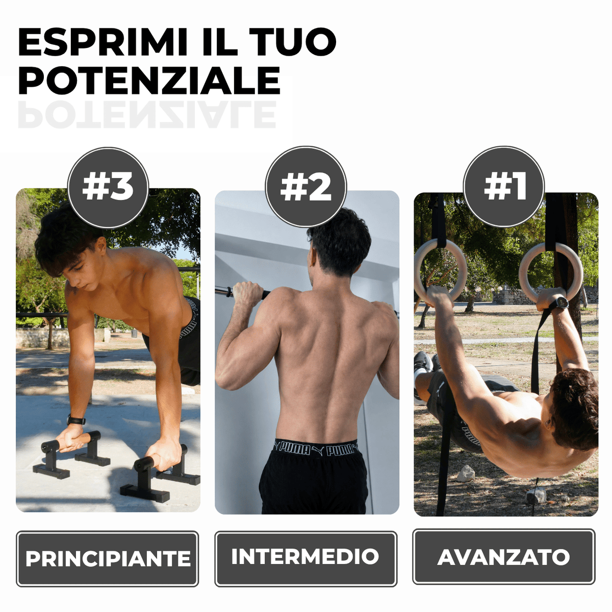 Elevup Kit